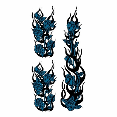 �^�g�D�[�V�[���@���K�N���z