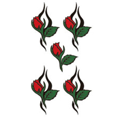 �^�g�D�[�V�[���@�K�N�g���C�o���R