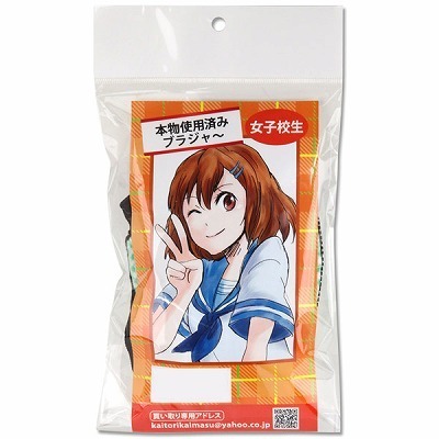 �{���g�p�ς݁@�i���q�Z���̃u���W���[�j