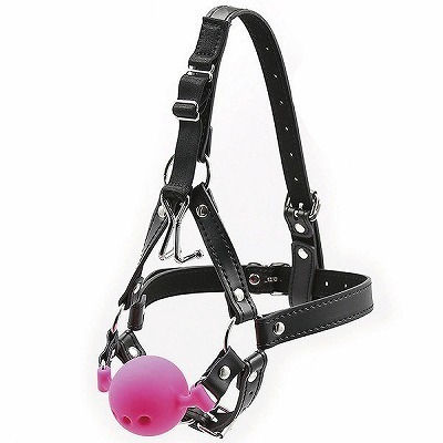 ���r�l�@�u�h�o���@�t�b�N�{�[���M���O�n�[�l�X�@�i�s���N�j